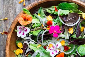 Salad with Flowers