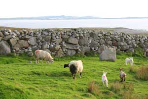 Ireland
